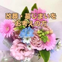 画像253