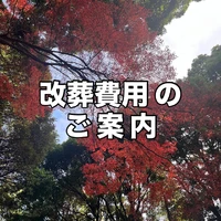 画像255