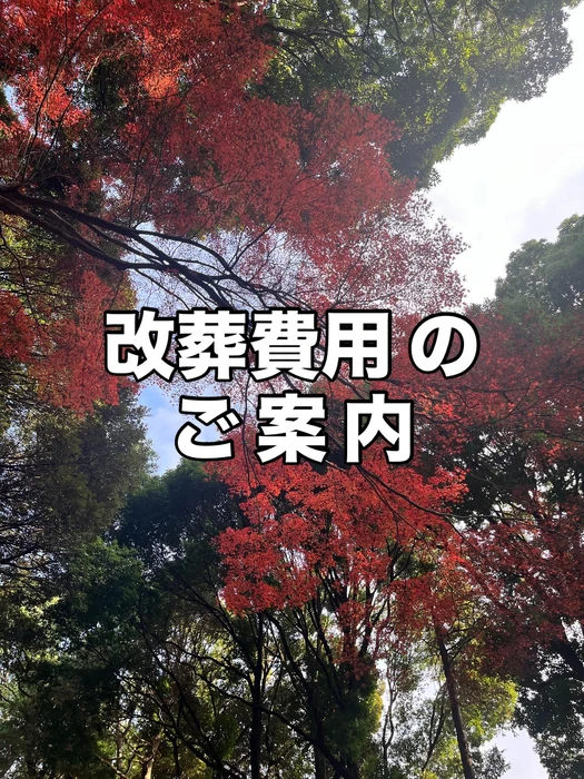 画像255