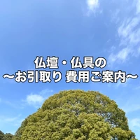 画像257