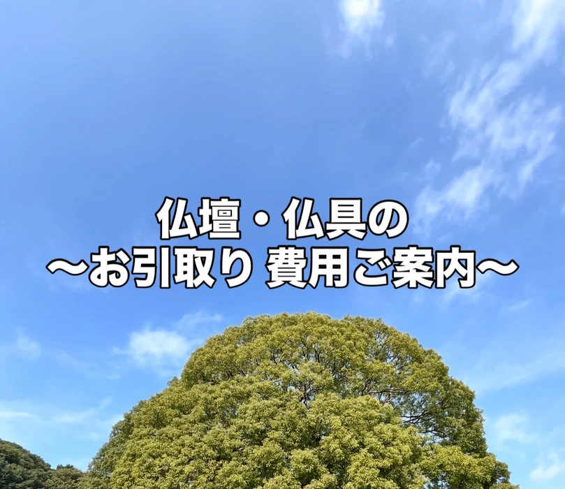 画像257