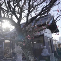 画像261