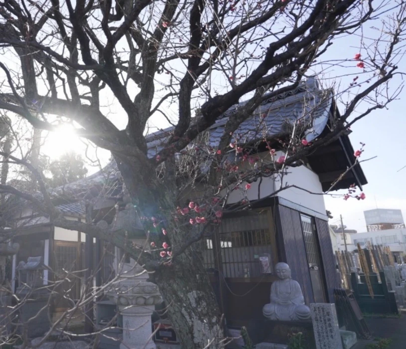 画像261