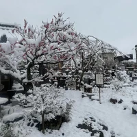 画像272