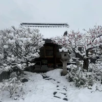 画像273