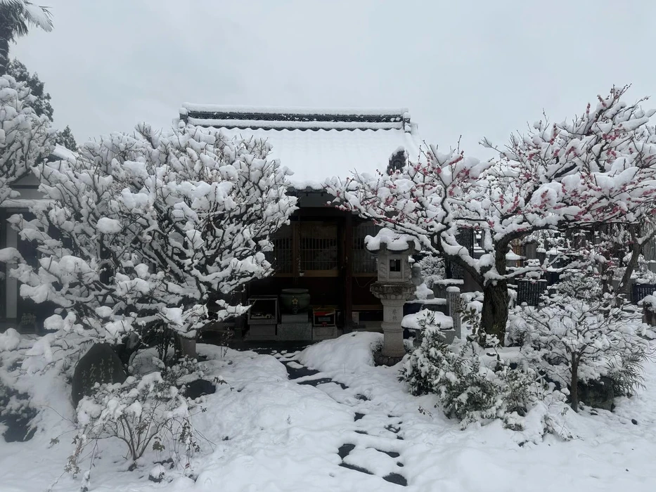 画像273