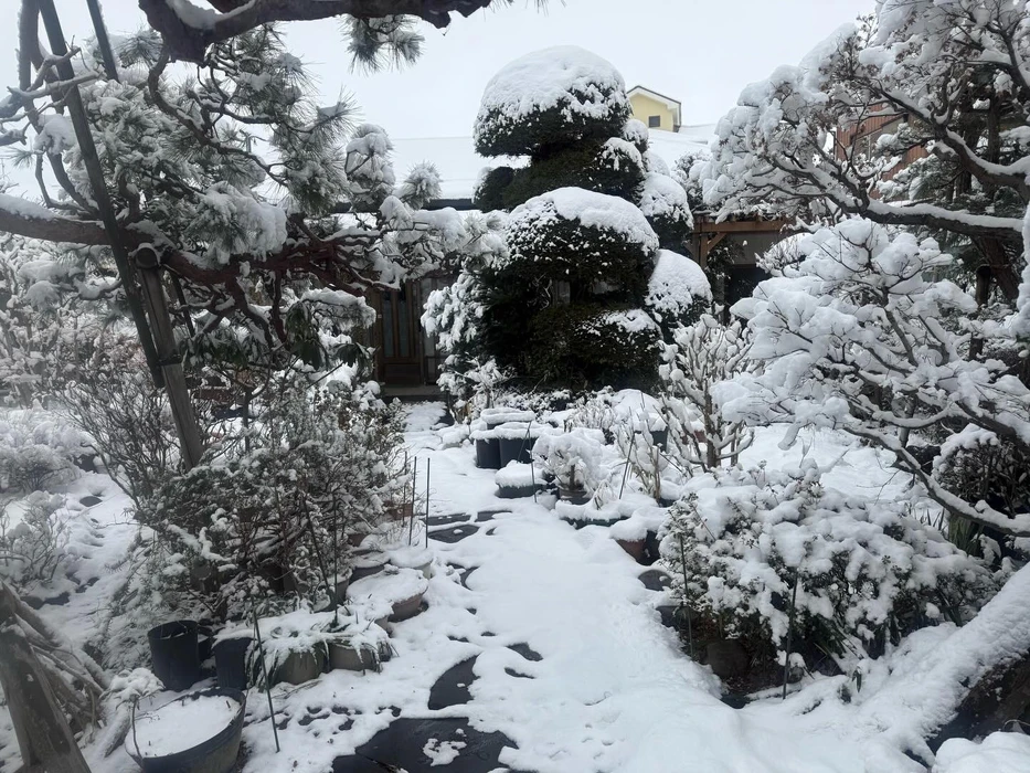 画像274