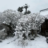 画像275