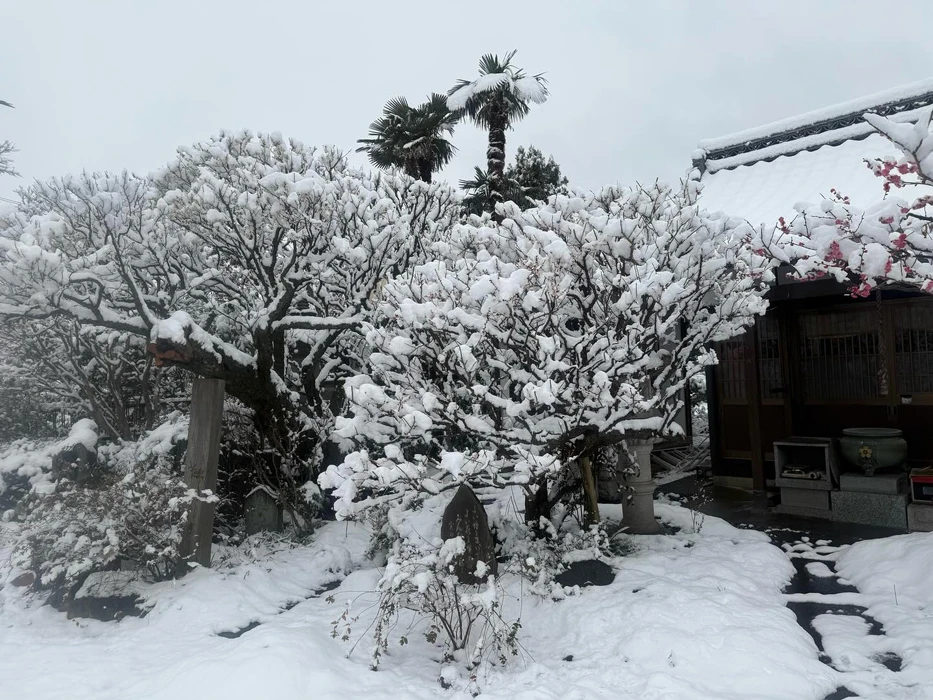 画像275