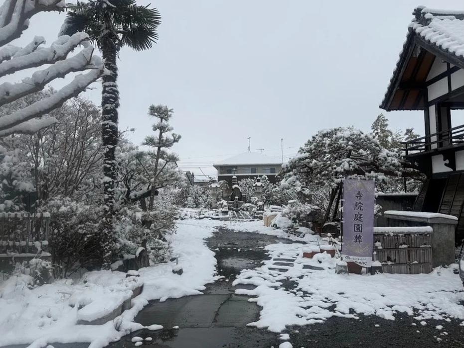 画像276