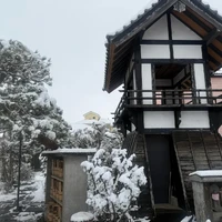 画像277