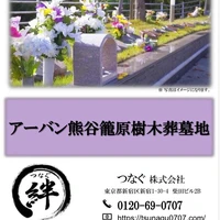 画像279