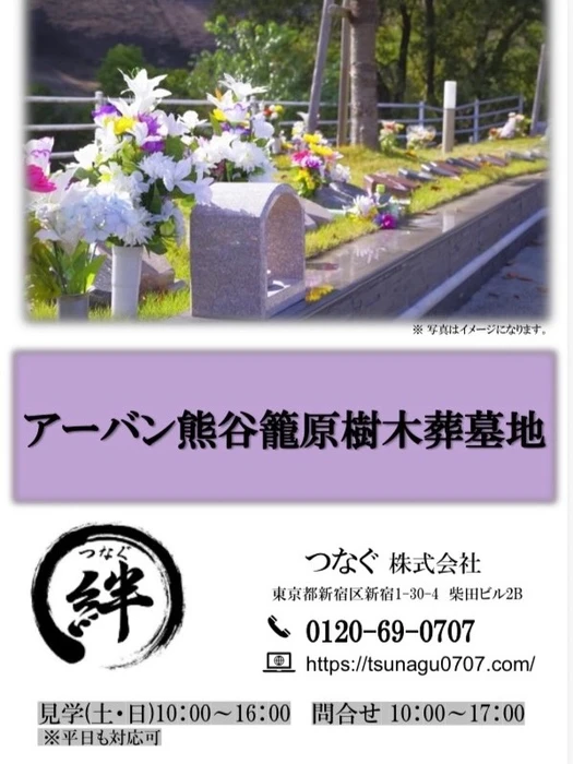 画像279
