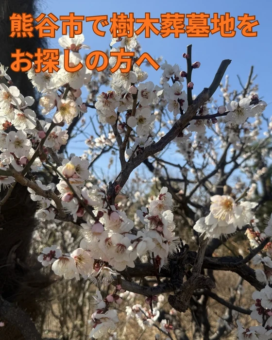 画像284
