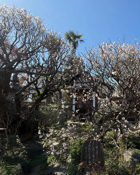 画像285
