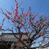 画像286