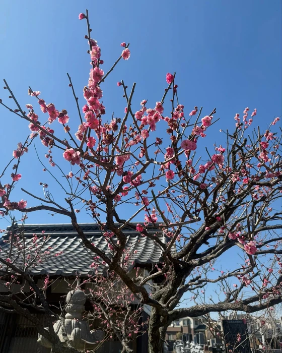 画像286