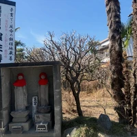 画像287