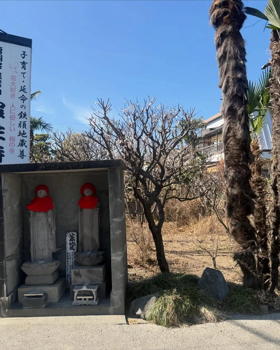 画像287