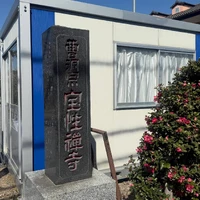 画像289
