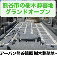 画像294