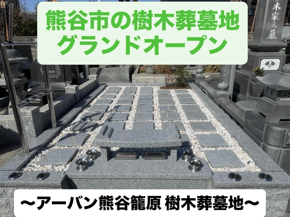画像294