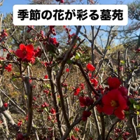 画像302