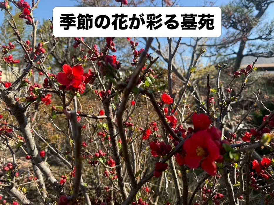 画像302