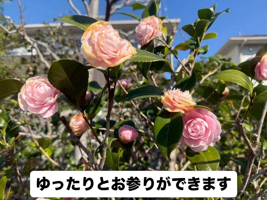 画像303