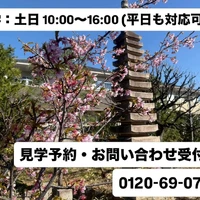 画像304
