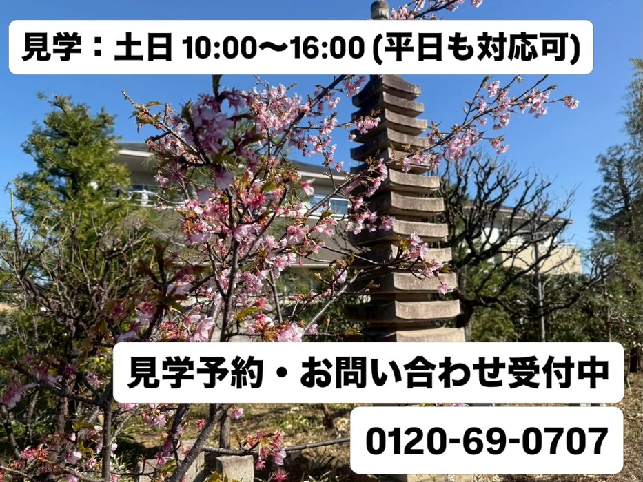 画像304