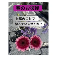 画像306