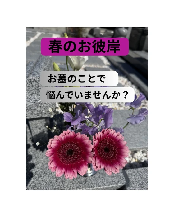 画像306