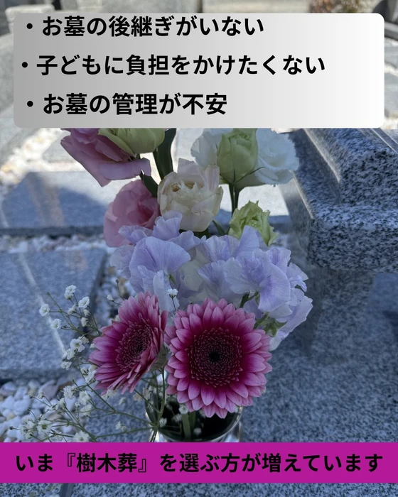 画像307