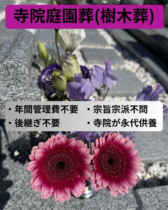 画像308