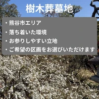 画像309