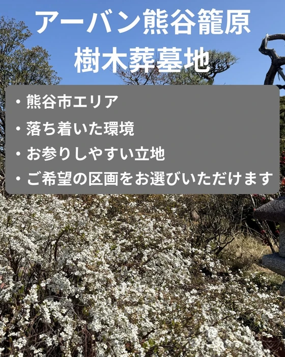 画像309
