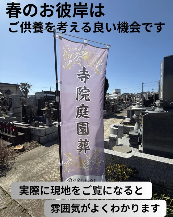 画像310