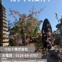画像311