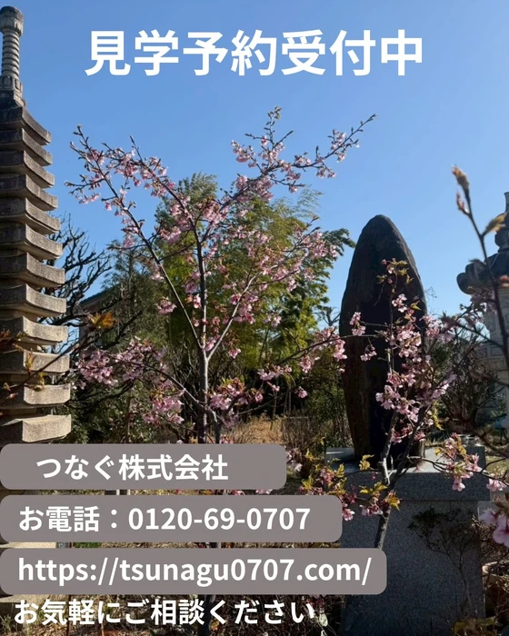 画像311