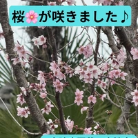 画像313