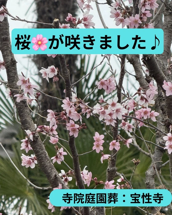 画像313