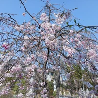 画像322
