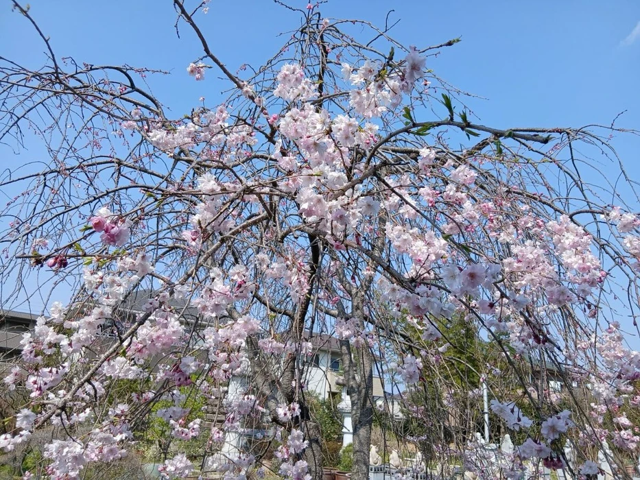画像322