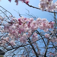 画像323