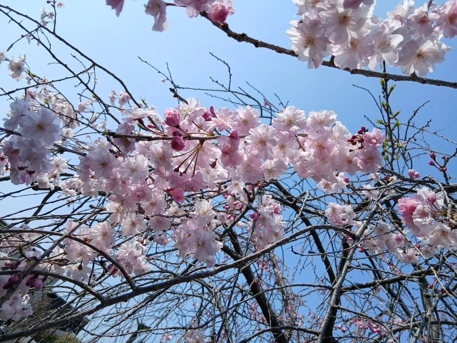 画像323
