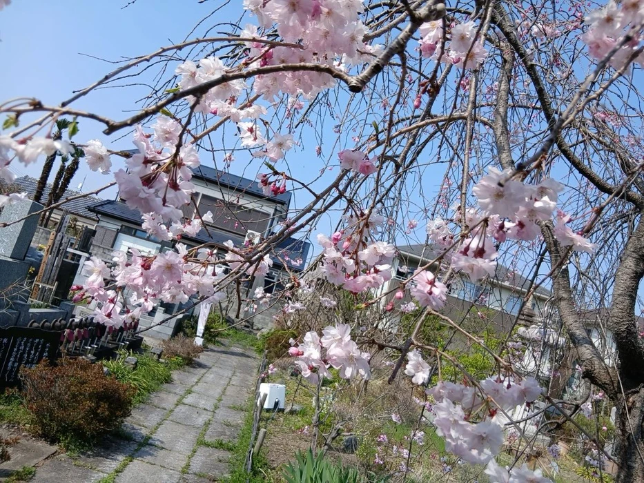 画像324