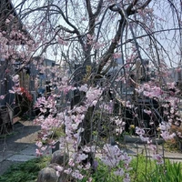 画像325