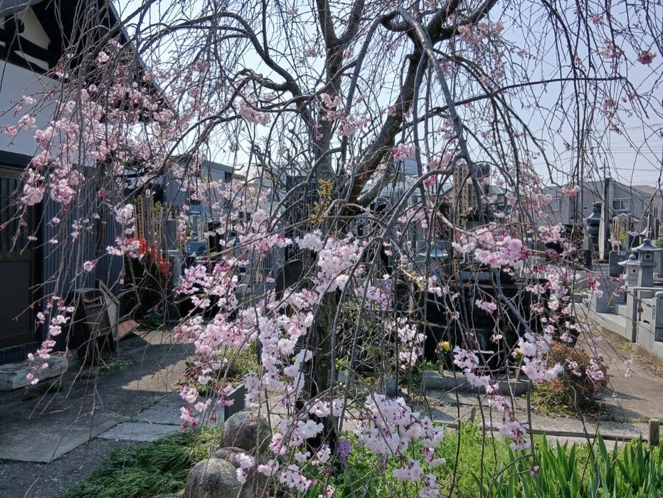画像325