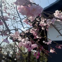 画像326